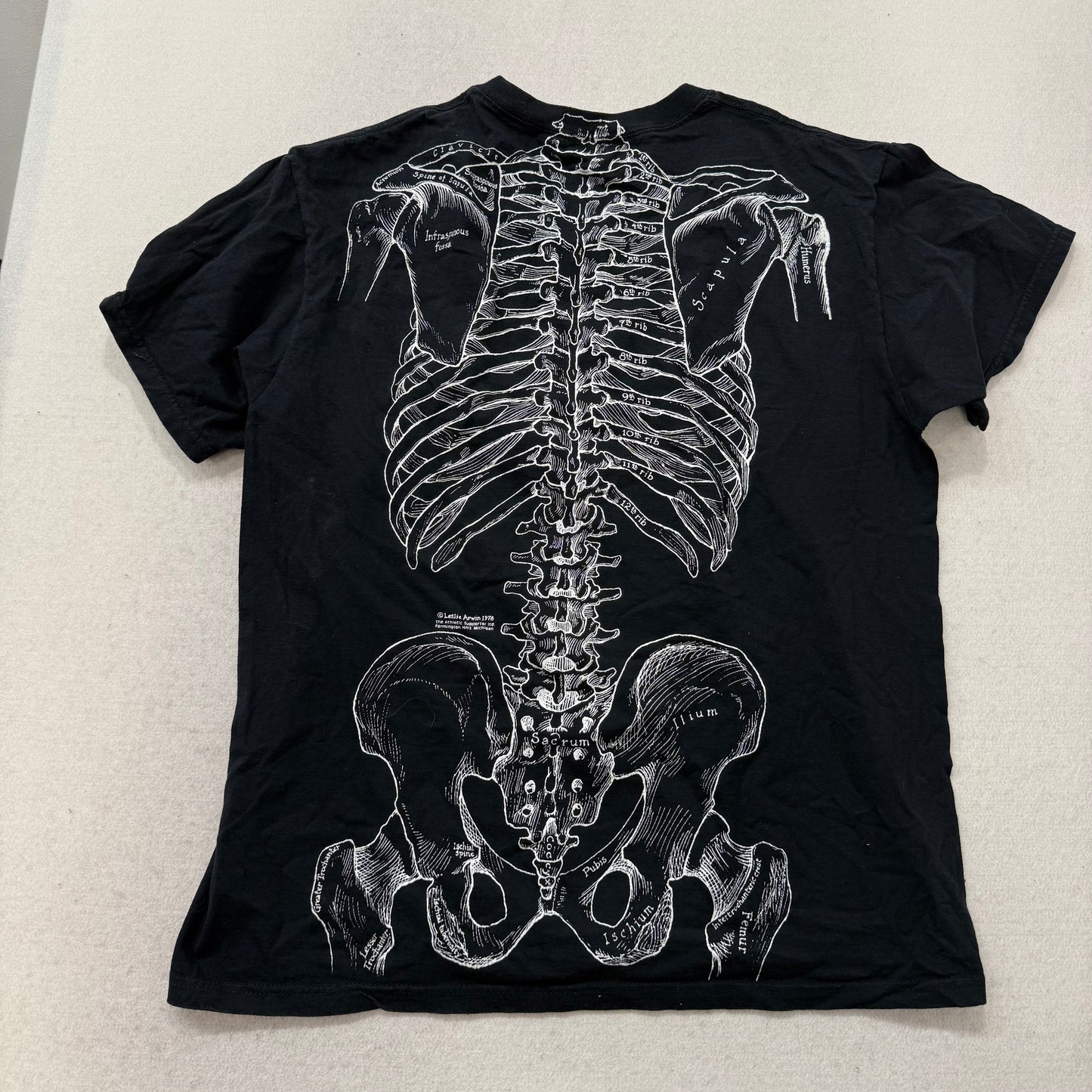 Fruit of the Loom Mens Black Cotton T-Shirt Anatomical Skeleton Print Tee Size L