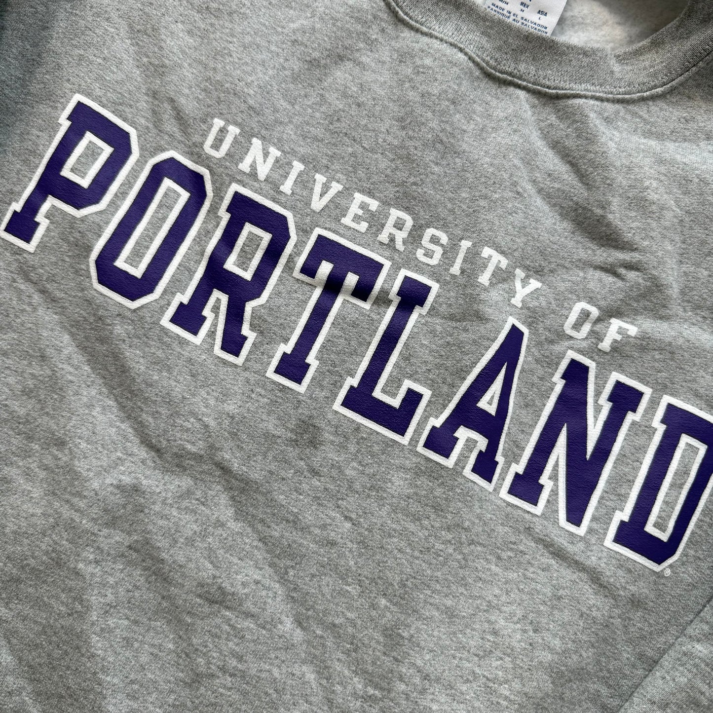 Champions Mens Heather Gray Cotton Collegiate Sweatshirt Crewneck Graphic Size M