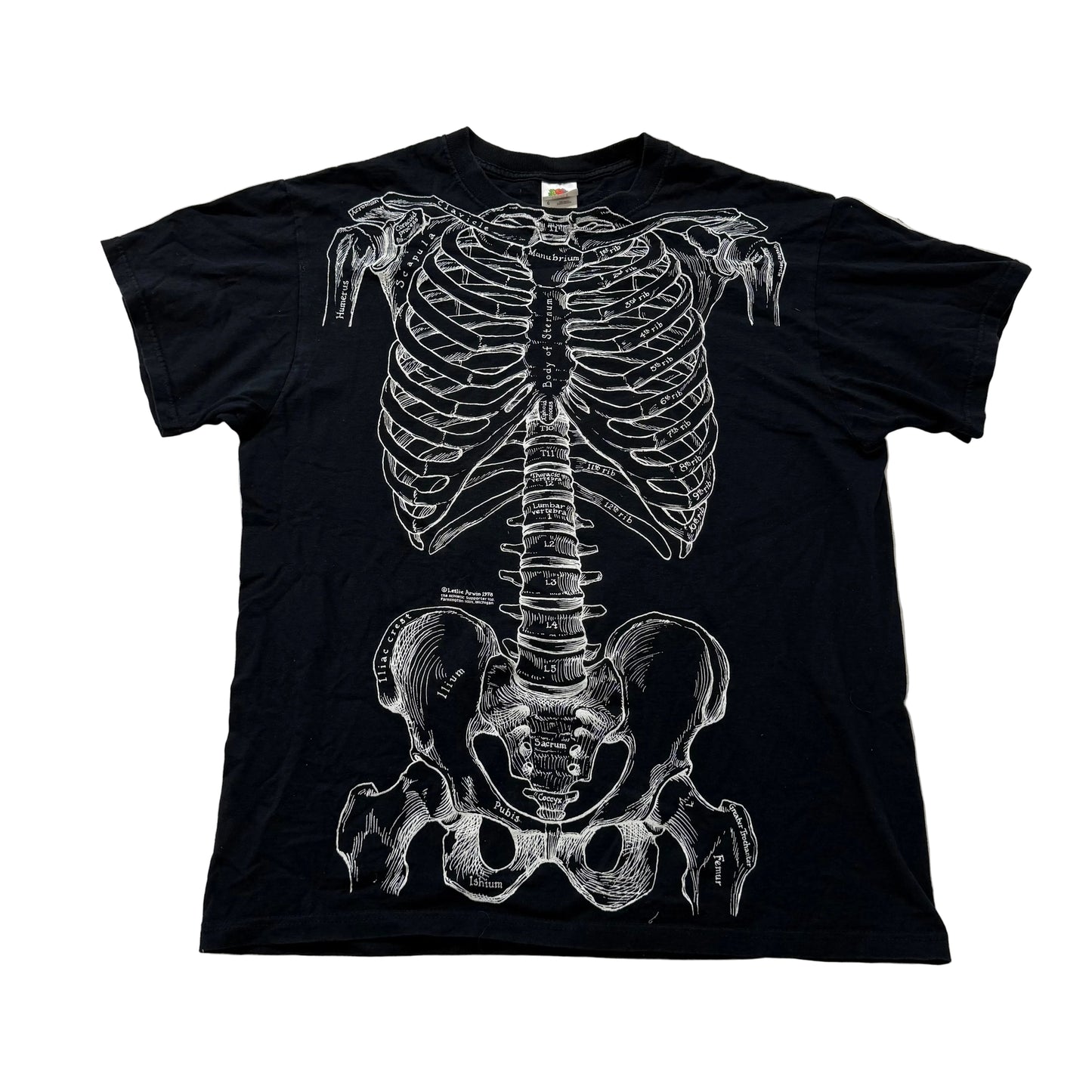 Fruit of the Loom Mens Black Cotton T-Shirt Anatomical Skeleton Print Tee Size L