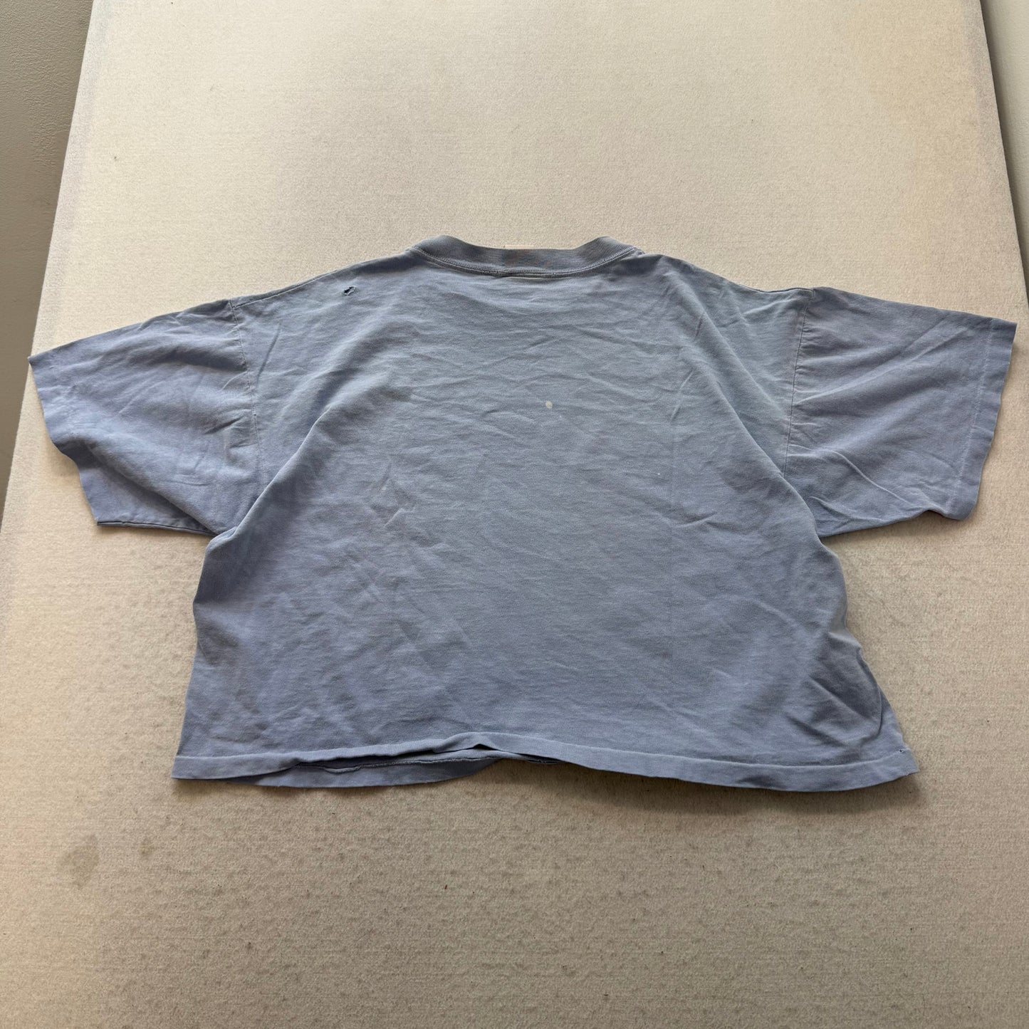Vintage OBEX Sport Women's Faded Blue Graphic Crop Top T-Shirt Boxy Fit Size XL