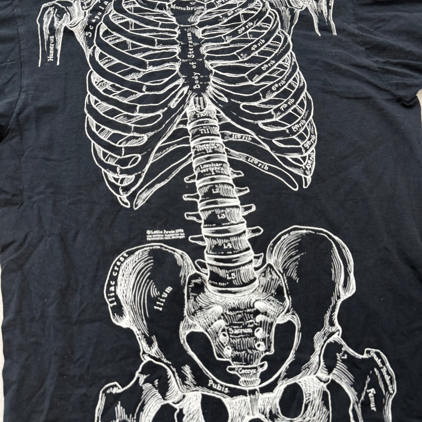 Fruit of the Loom Mens Black Cotton T-Shirt Anatomical Skeleton Print Tee Size L