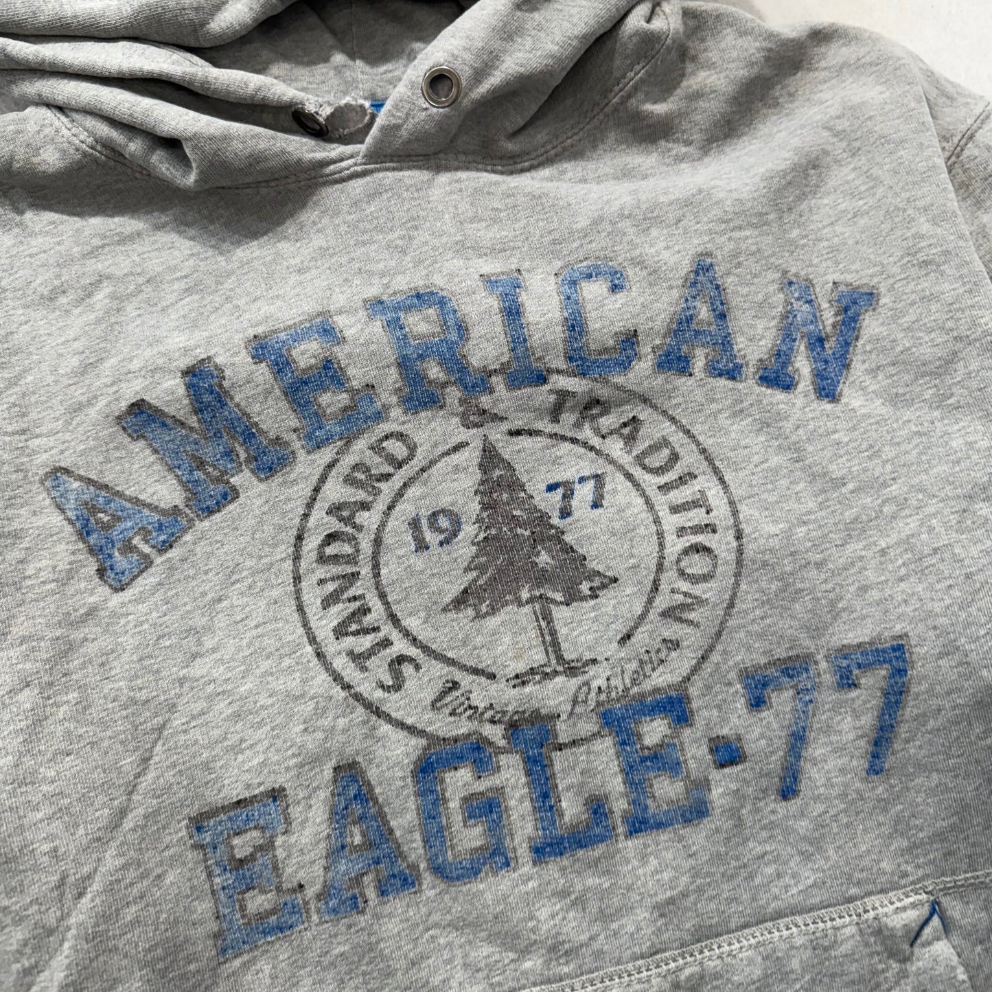 American Eagle Outfitters Men Gray Cotton Distressed Pullover Hoodie Logo Size L