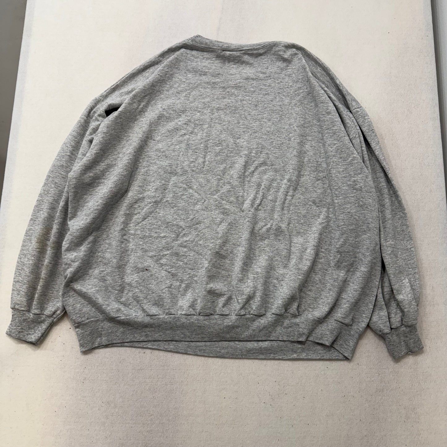 Vintage Looney Tunes Tweety “Absolutely Not!” Grey Graphic Sweatshirt - Clean Curriculums 