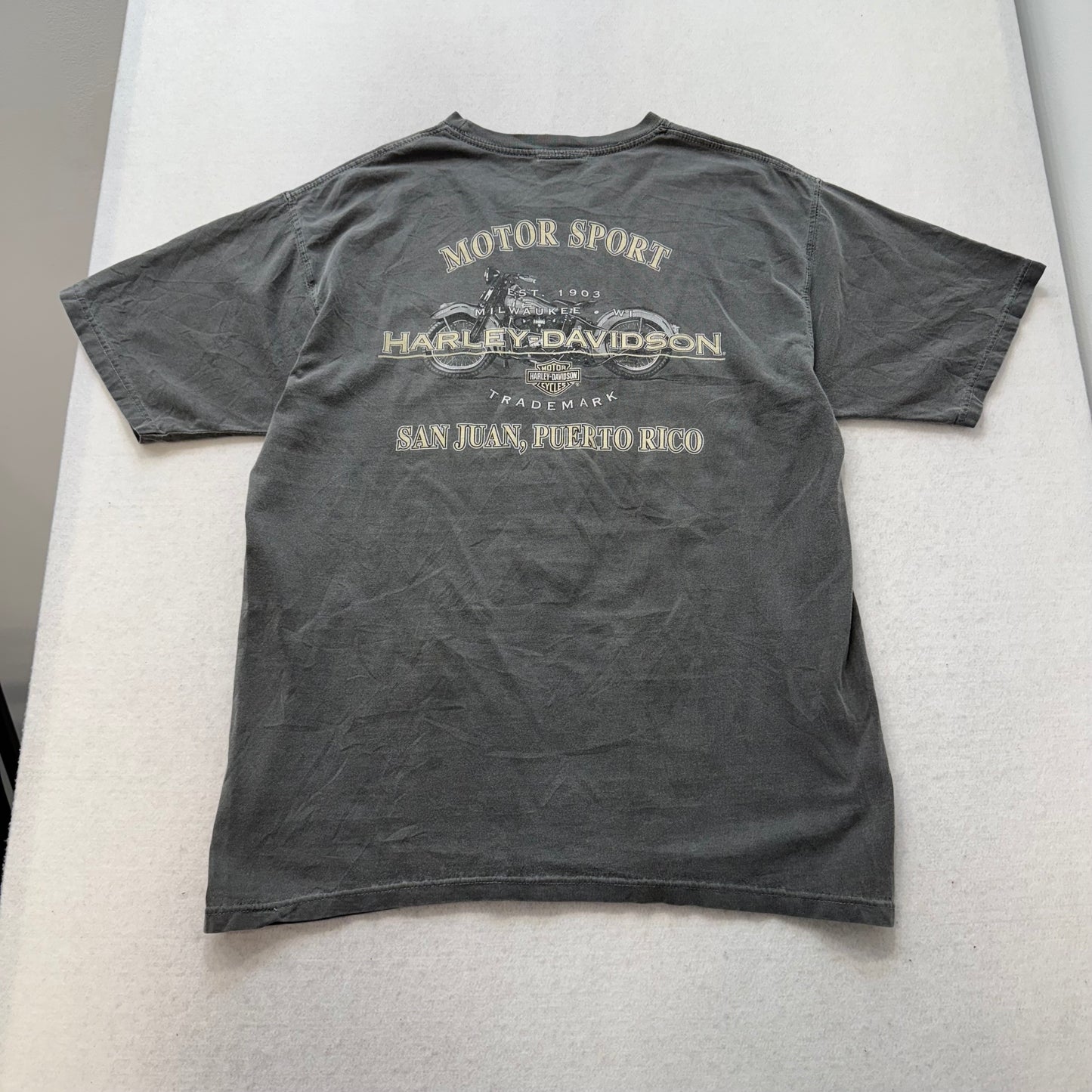 Harley-Davidson Men's Charcoal Gray Cotton T-Shirt Crew Neck Casual Tee Size L