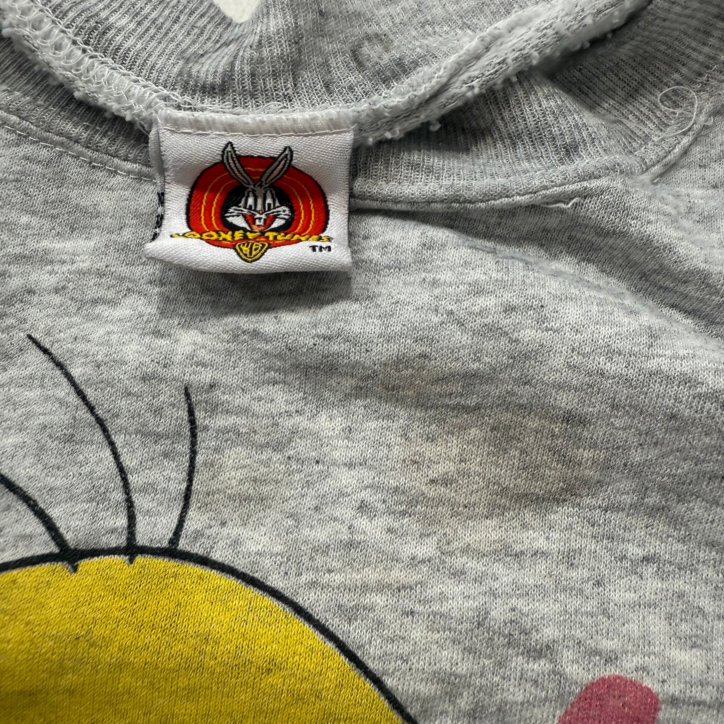Vintage Looney Tunes Tweety “Absolutely Not!” Grey Graphic Sweatshirt - Clean Curriculums 